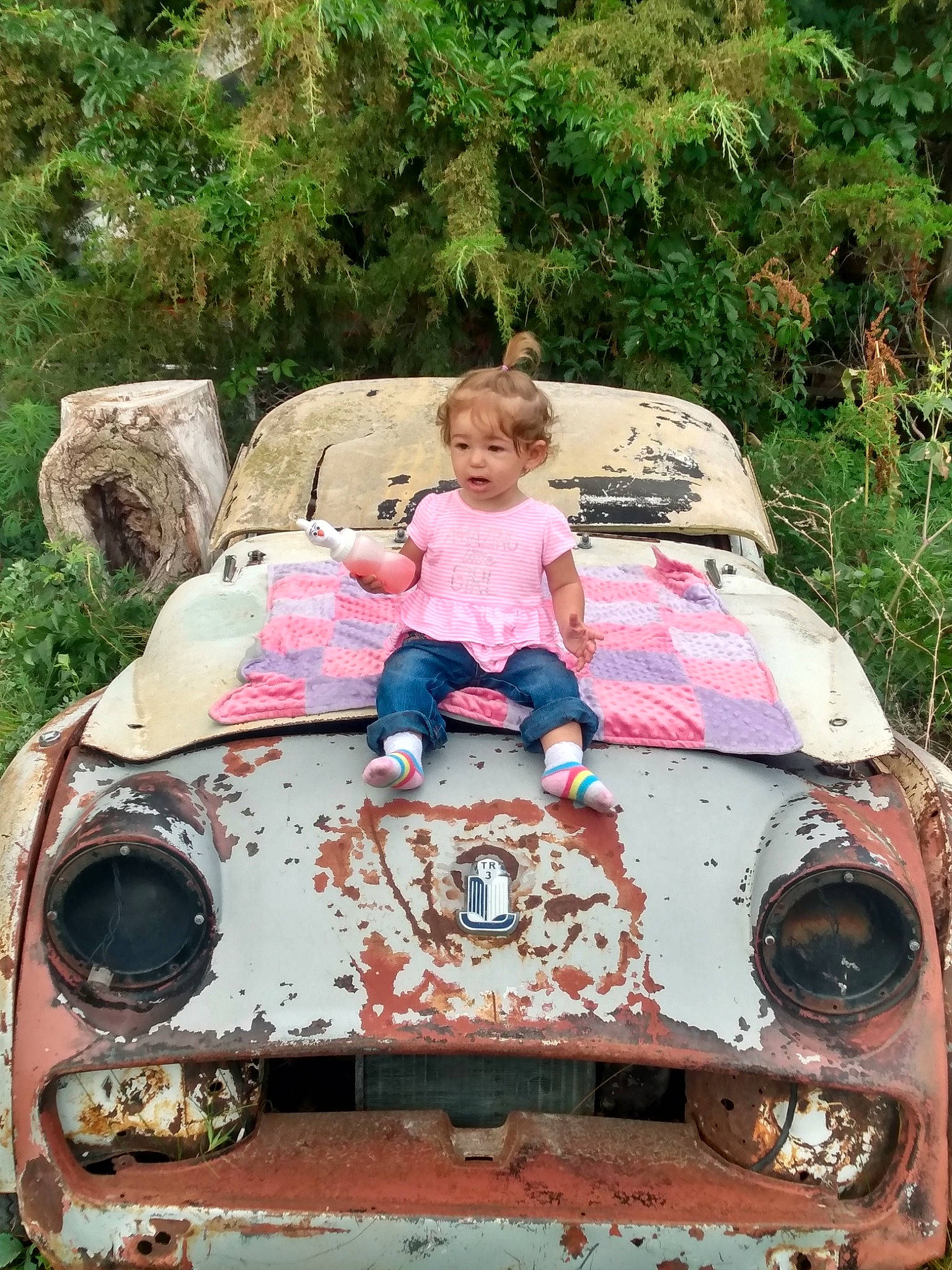 Zelda is registered to the contest to win money with this photo: automotive_design, automotive_exterior, automotive_lighting, automotive_wheel_system, bumper, car, classic, classic_car, grass, hardtop, headlamp, hood, motor_vehicle, person, pink, plant, toddler, tree, vehicle, vehicle_door