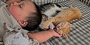 Grayson is registered to the contest to win money with this photo: animal, cat, checkered_pattern, child, couch, cozy, cute, domestic, furniture, hand, indoor, kitten, nap, pet, plush_toy, resting, sleeping, soft, toddler, young_child