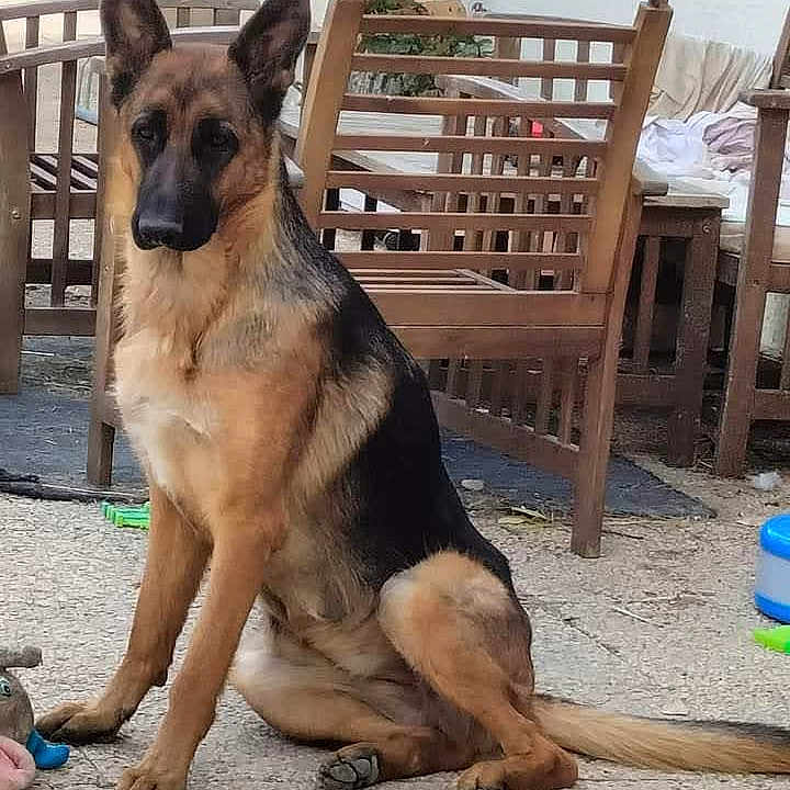 Soka