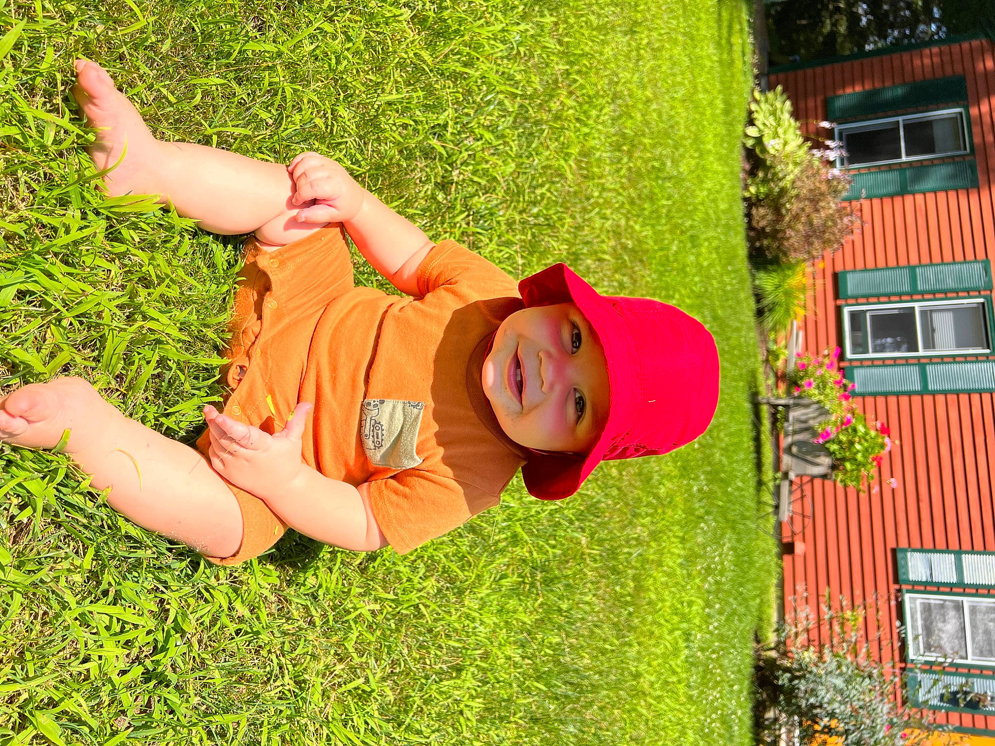 Teddy joined the competition — help win amazing prizes! baby, baby_toddler_clothing, child, fun, garden, grass, grass_family, happy, hat, headwear, joy, landscape, lawn, leisure, people_in_nature, person, plant, shrub, smile, sun_hat