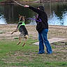 action, daytime, dog, grass, green_harness, hoodie, jeans, jumping, lake, leash, nature, outdoor, park, person, pet, play, recreation, sand, stick, water