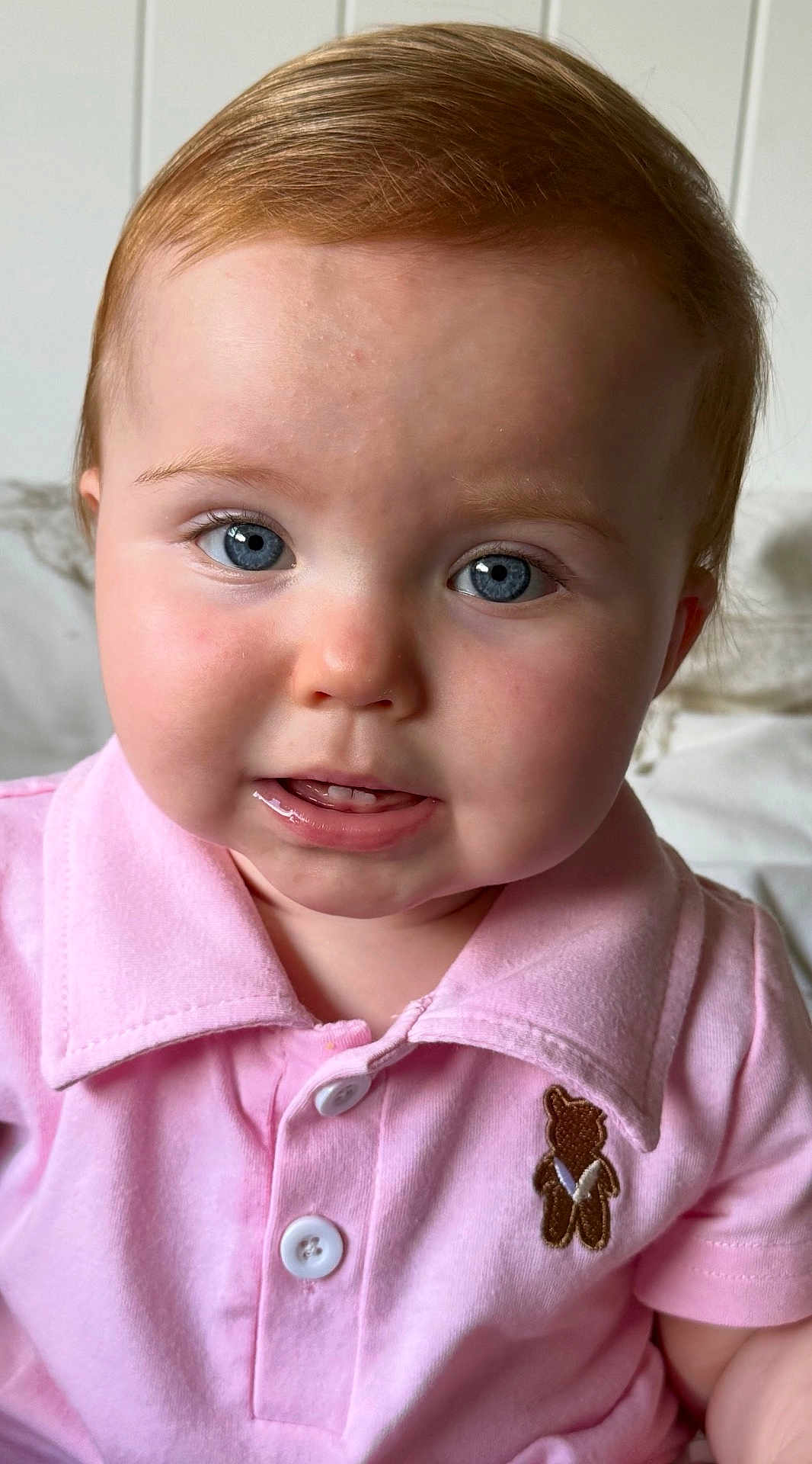 Isla is registered to the contest to win money with this photo: baby, child, face, blue_eyes, pink_shirt, teddy_bear_patch, close_up, portrait, cute, infant, young_child, collared_shirt, buttoned_shirt, indoor, soft_light, curious_expression, skin, head, person, smile