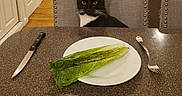 Ragnar is registered to the contest to win money with this photo: cat, chair, curious, cutlery, dining_room, domestic_animal, food, fork, furniture, indoor, kitchen, knife, lettuce, meal, pet, plate, sitting, table, tuxedo_cat, vegetable