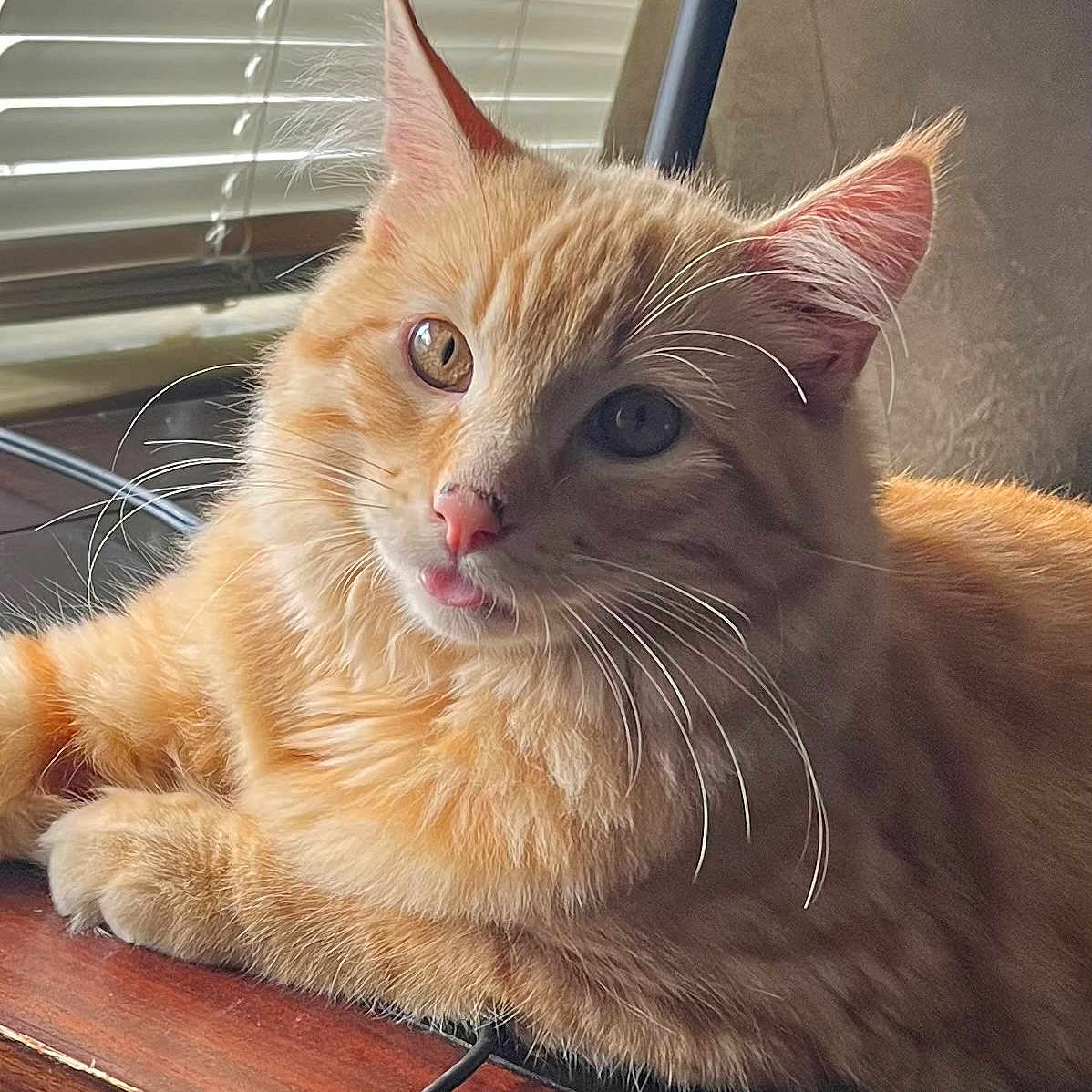 Loki
