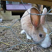 Love participe au concours pour gagner de l'argent avec cette photo :