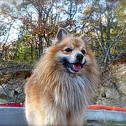 Enjoy participe au concours pour gagner de l'argent avec cette photo :