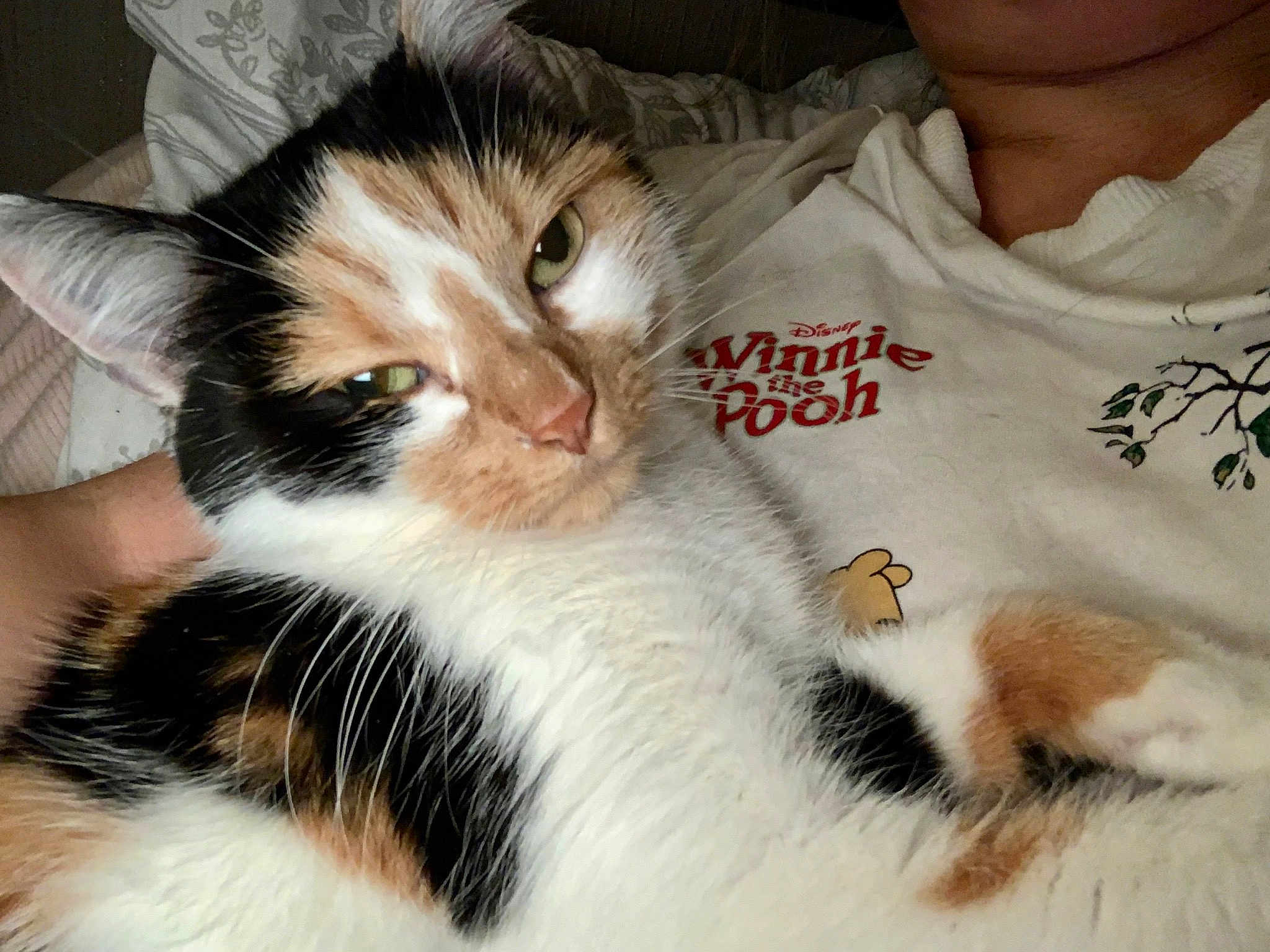 Chloé