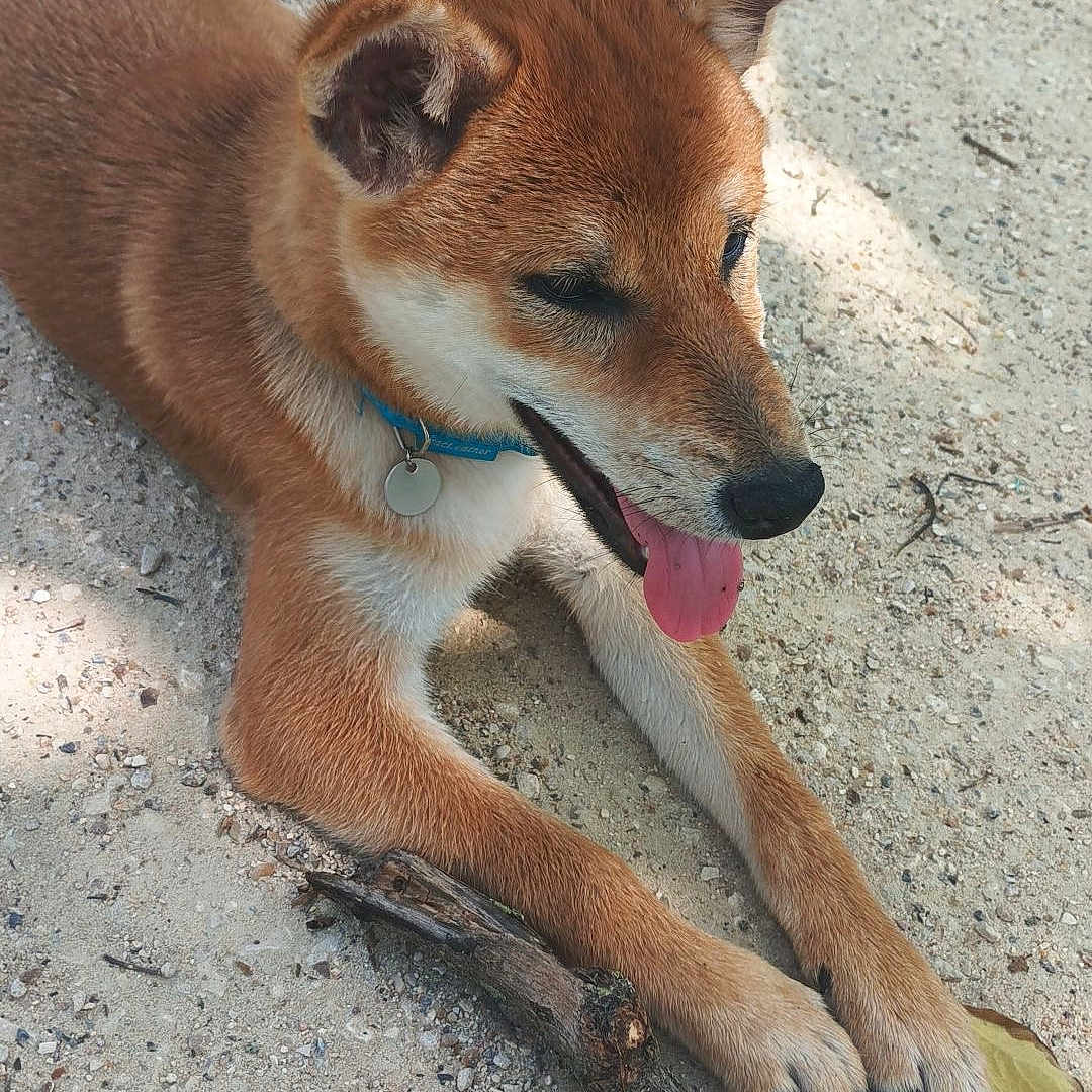 Bella