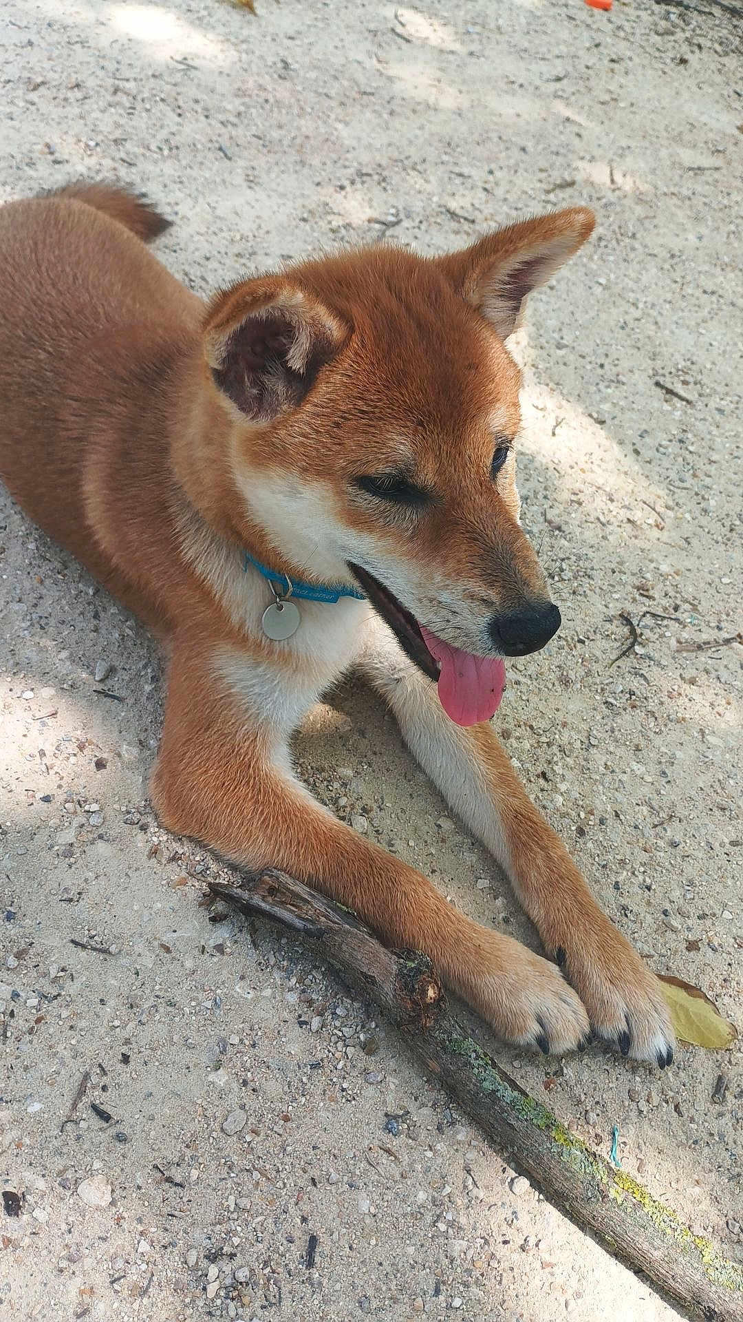Bella