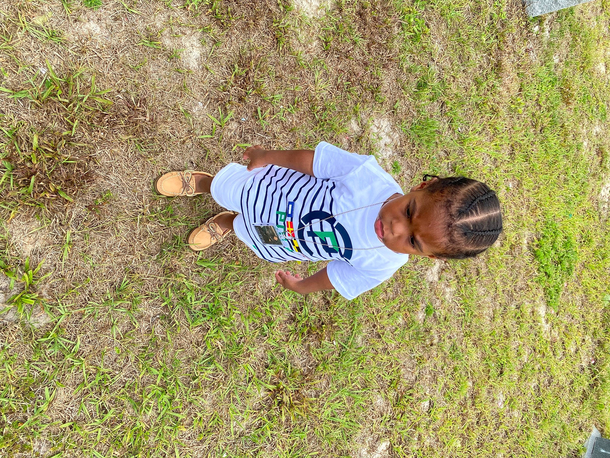 Jakobe is registered to the contest to win money with this photo: adaptation, child, fun, grass, person, plant, soil, tree