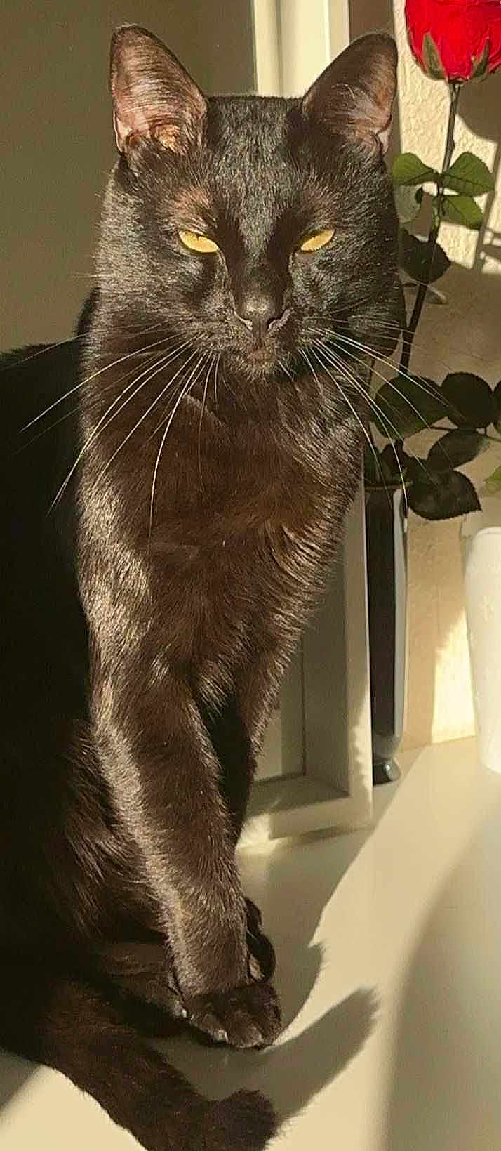 Salem