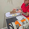 puppy, dog, animal, pet, weighing_scale, veterinary_care, caretaker, woman, tattoos, red_shirt, orange_carrier, pet_carrier, table, indoor, puppy_health, small_dog, portrait, equipment, weighing, animal_care