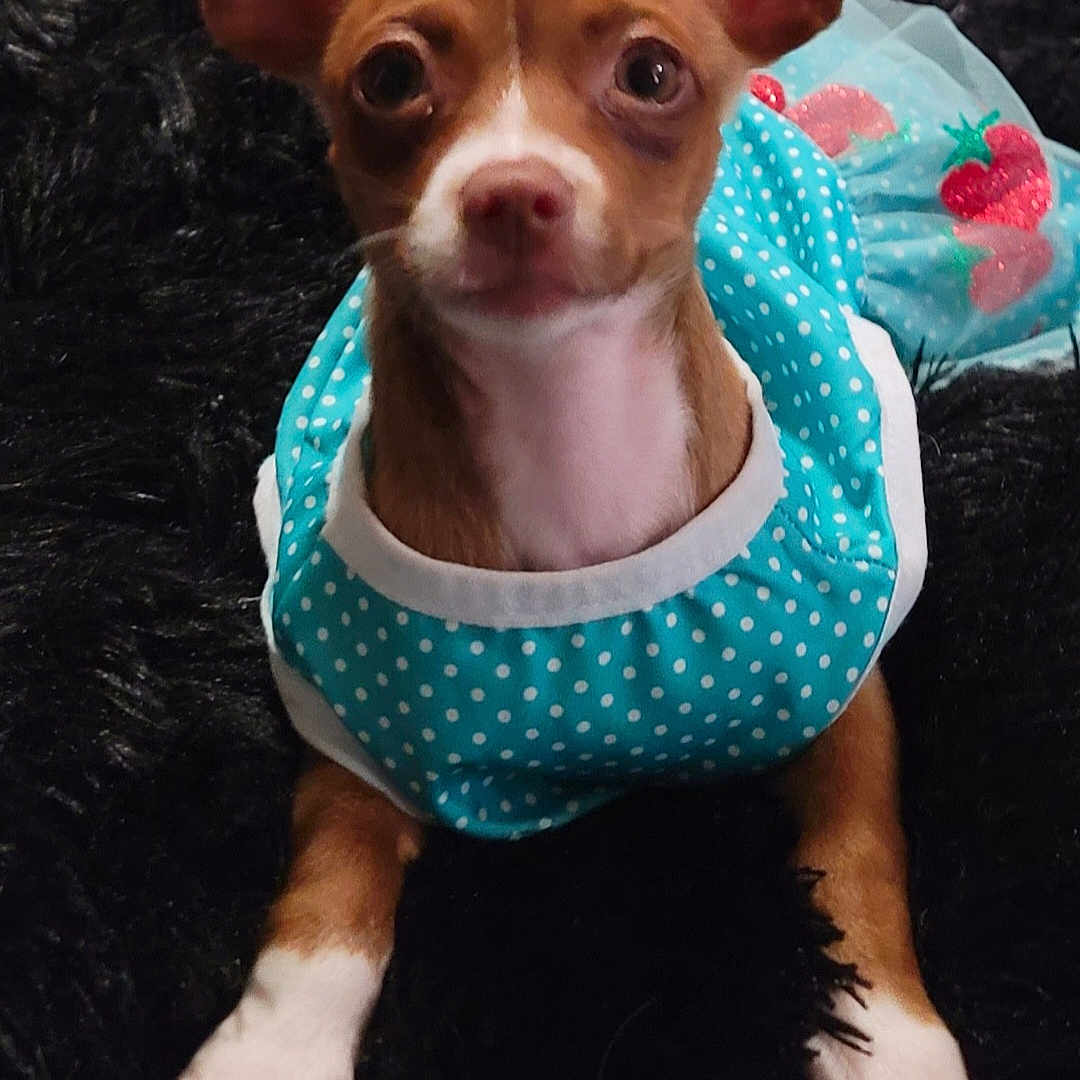 Candy
