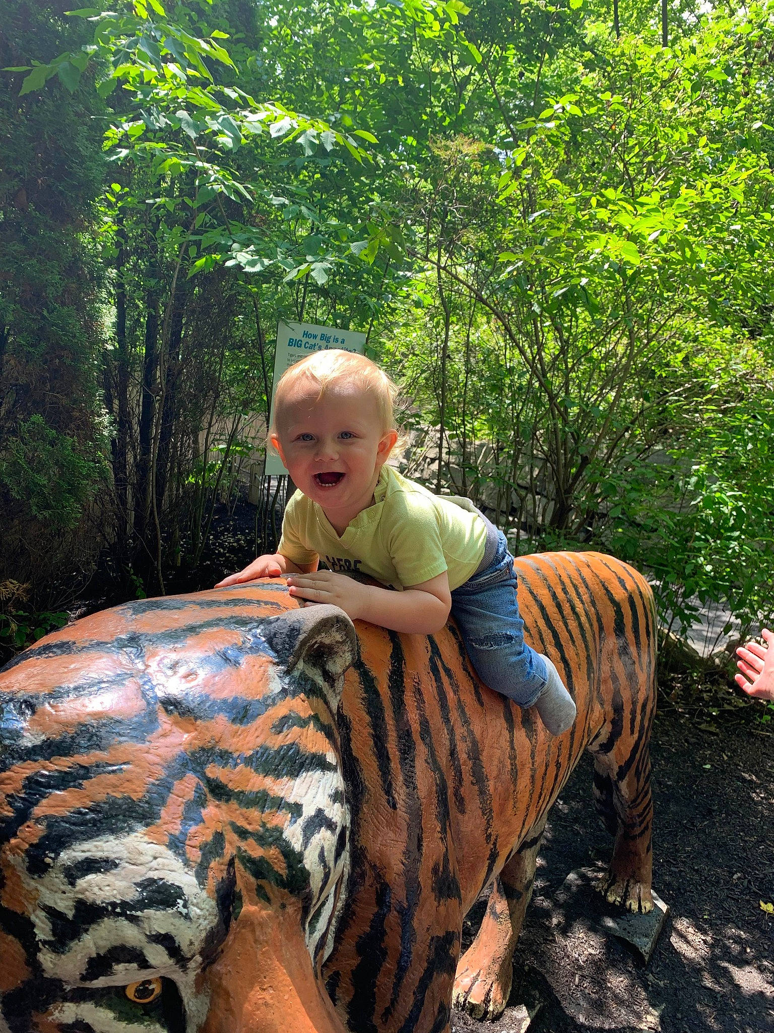 Kendrick is registered to the contest to win money with this photo: baby_toddler_clothing, fawn, forest, fun, garden, grass, joy, jungle, landscape, leisure, people_in_nature, person, plant, recreation, sitting, soil, t_shirt, terrestrial_animal, toddler, tree