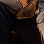 dog, sleeping, blanket, indoors, cozy, brown, black, white, ears, resting, pet, fur, bed, comfort, relaxation, side_view, close_up, domestic_animal, nap, quiet