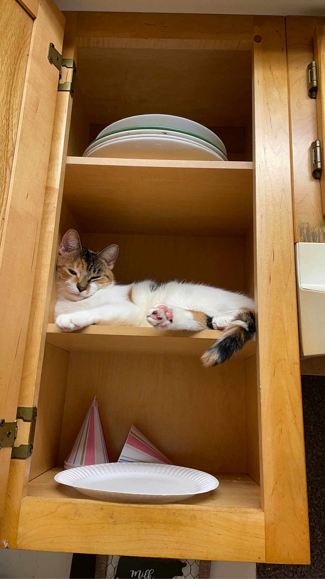 Minnie