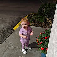 Braelon is registered to the contest to win money with this photo: casual_wear, child, concrete, curious, flower, flower_pot, garden, greenery, night, outdoor, person, petal, plant, purple_clothing, shoes, sidewalk, small_plant, toddler, white_shoes, young_child