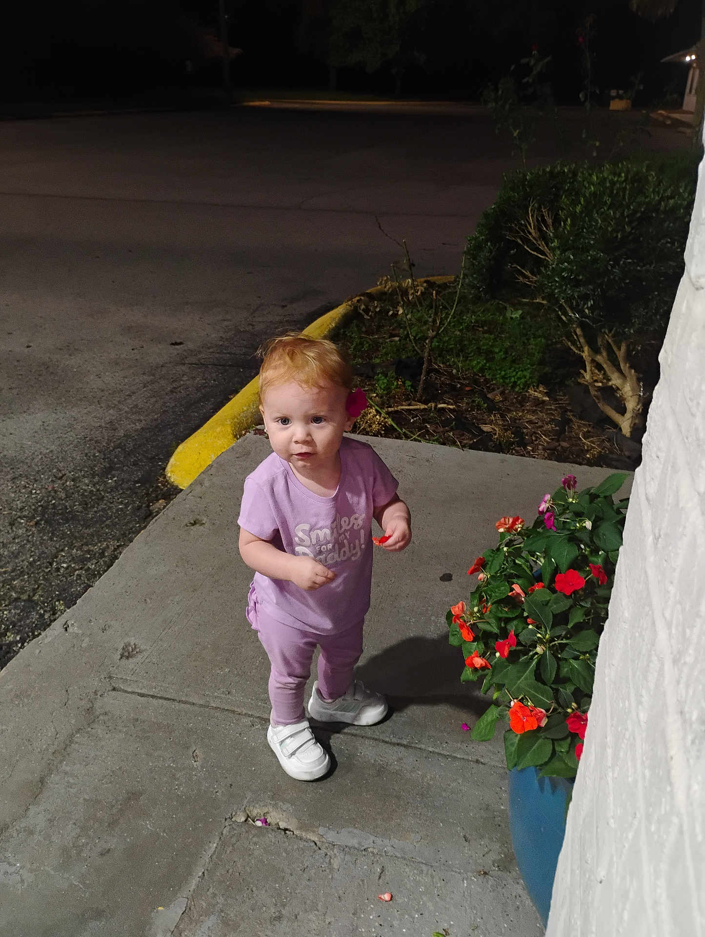 Braelon is registered to the contest to win money with this photo: casual_wear, child, concrete, curious, flower, flower_pot, garden, greenery, night, outdoor, person, petal, plant, purple_clothing, shoes, sidewalk, small_plant, toddler, white_shoes, young_child