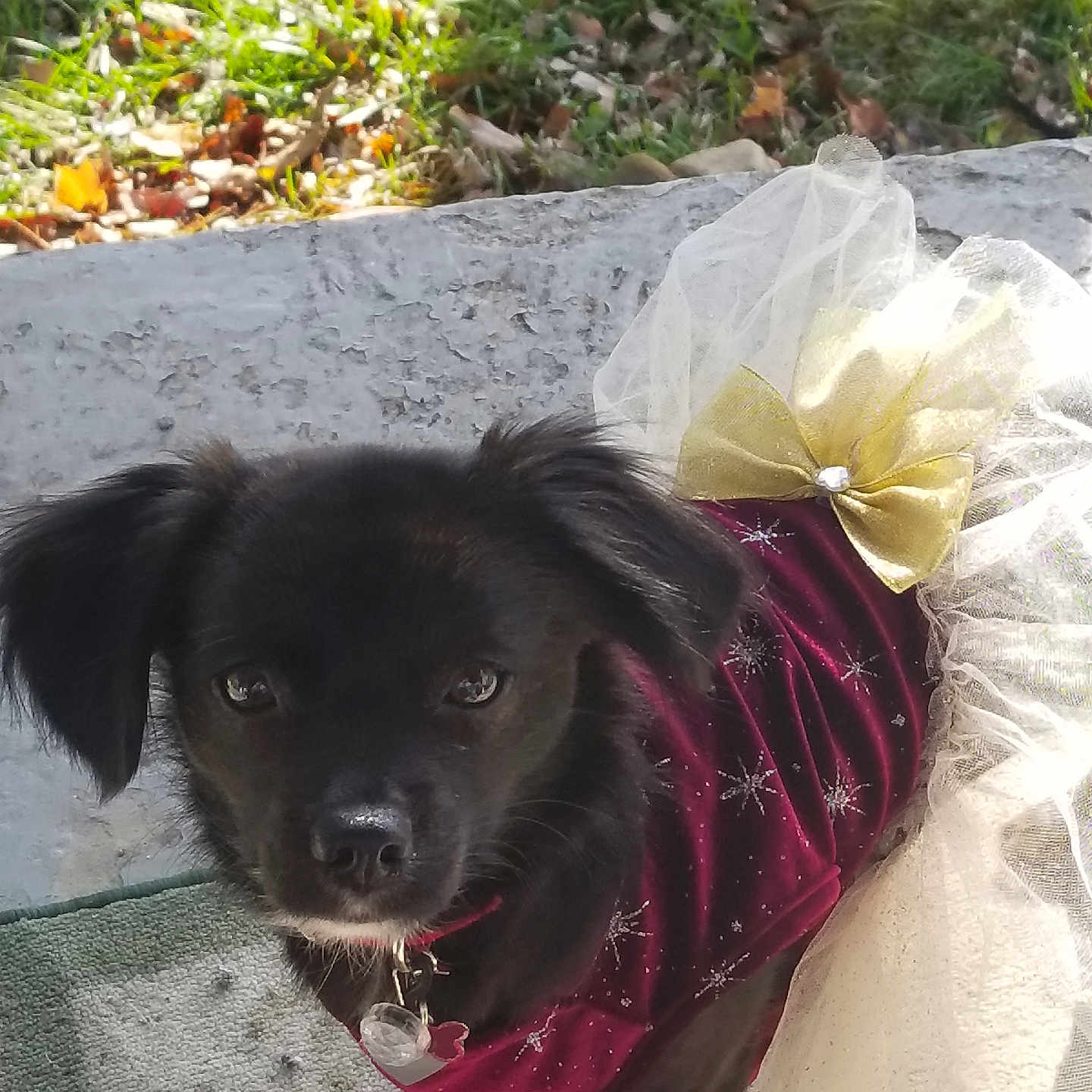 Lucy