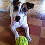 Hanka participe au concours pour gagner de l'argent avec cette photo :