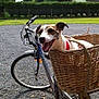 Hanka participe au concours pour gagner de l'argent avec cette photo :