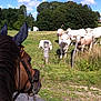 Lady Plume a rejoint le concours — aidez-le/la à gagner de superbes lots !