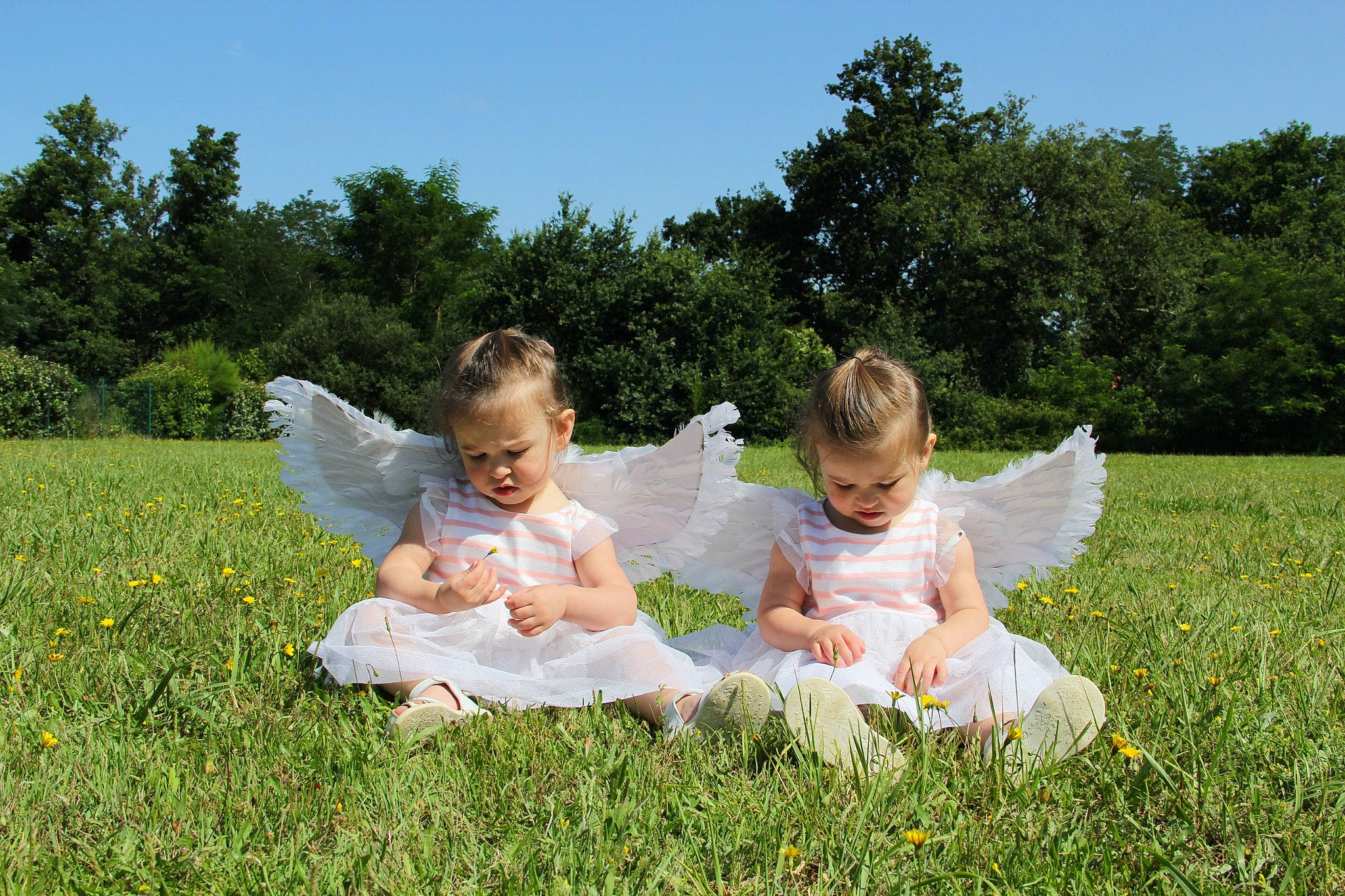 Anne Et Jade a rejoint le concours — aidez-le/la à gagner de superbes lots ! baby, baby_toddler_clothing, child, event, grass, grassland, happy, lawn, leaf, leisure, meadow, natural_environment, people_in_nature, person, plant, playing_with_kids, prairie, recreation, sky, toddler