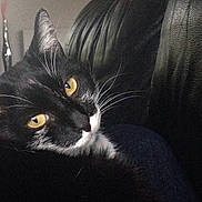 Zoé a rejoint le concours — aidez-le/la à gagner de superbes lots !