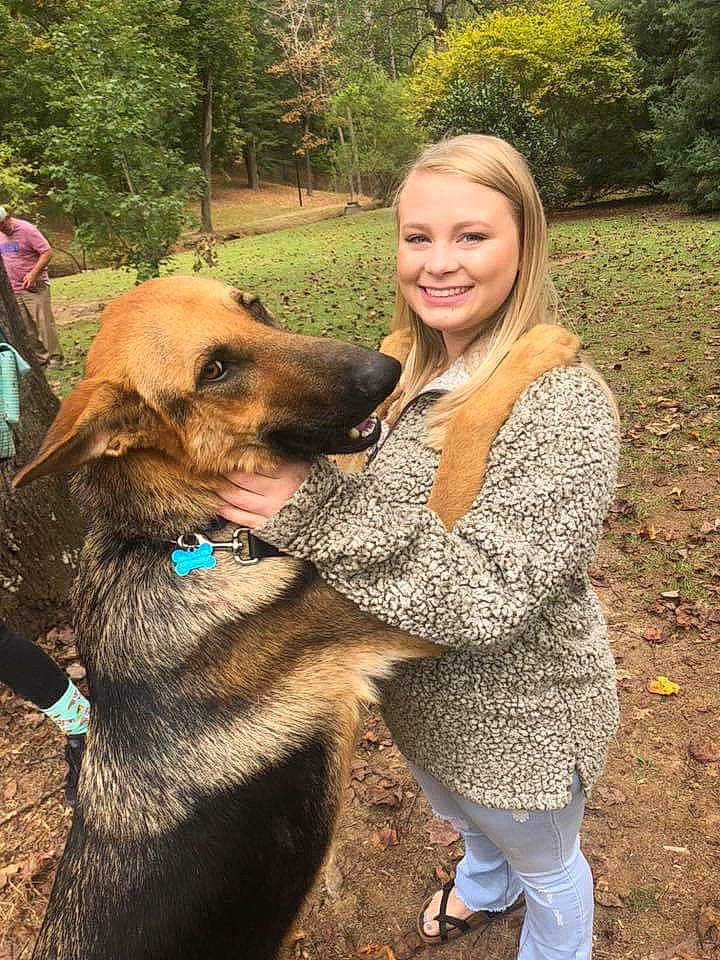 Zues is registered to the contest to win money with this photo: canidae, carnivore, companion_dog, dog, dog_breed, fawn, mammal, wildlife_biologist