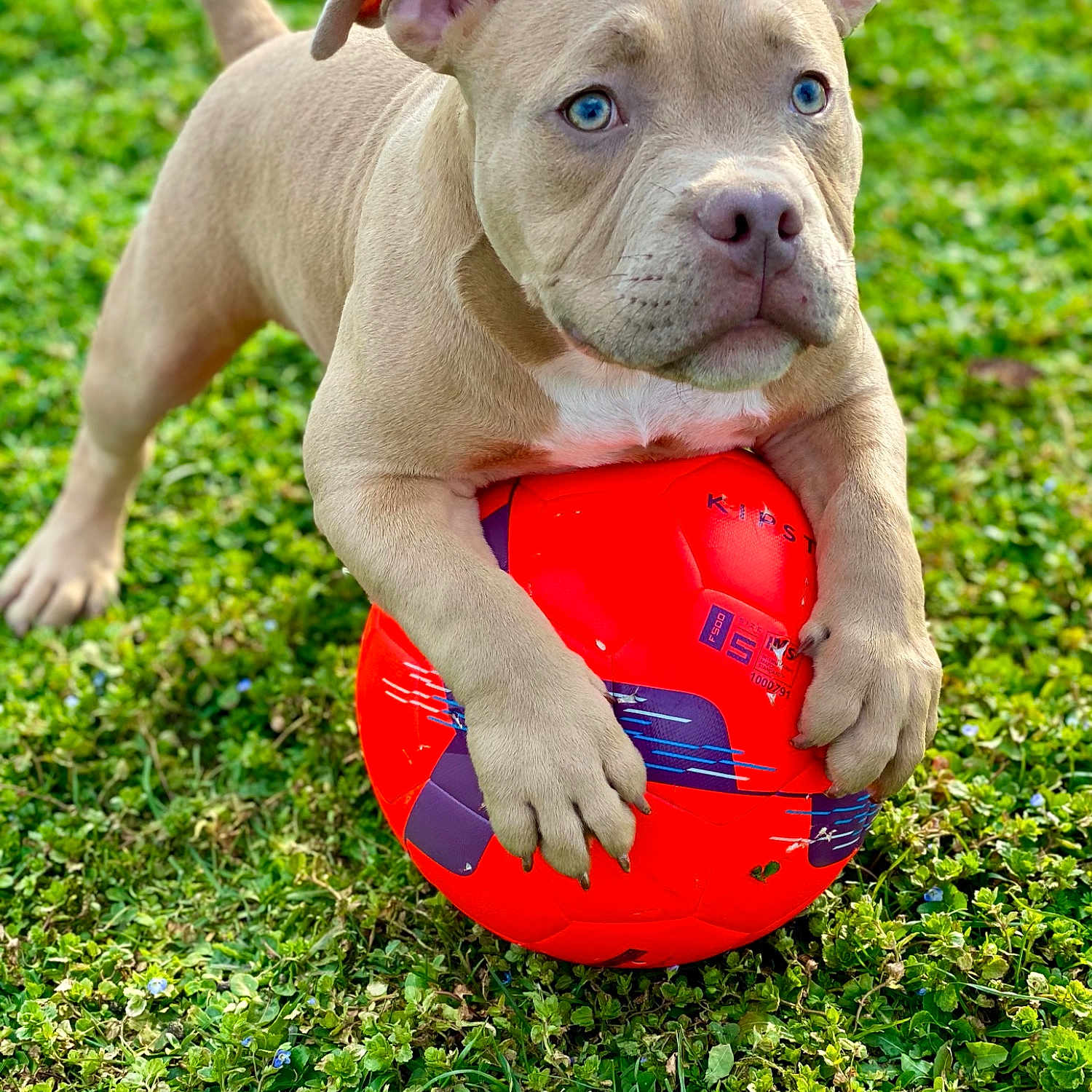 Zion