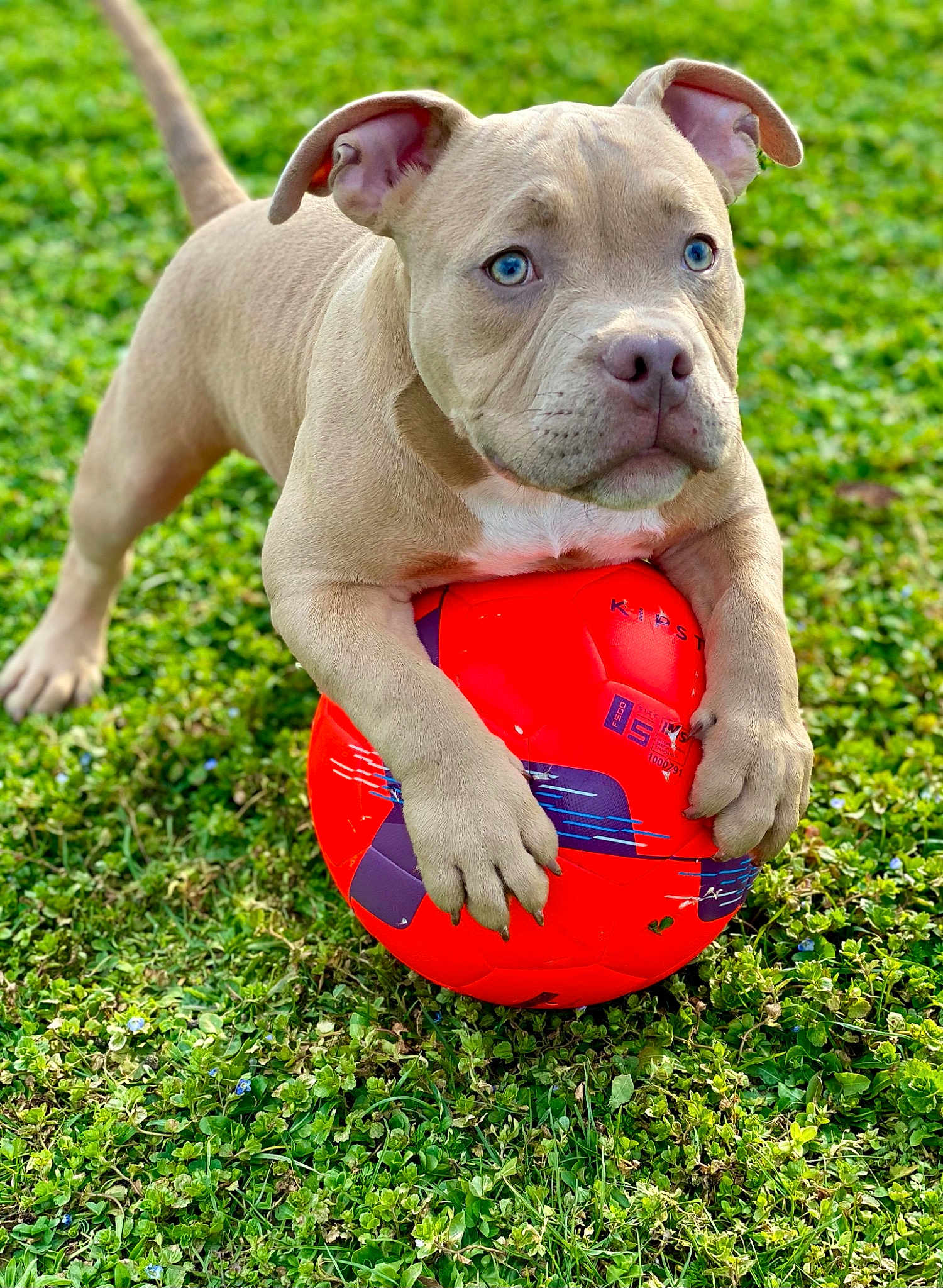Zion