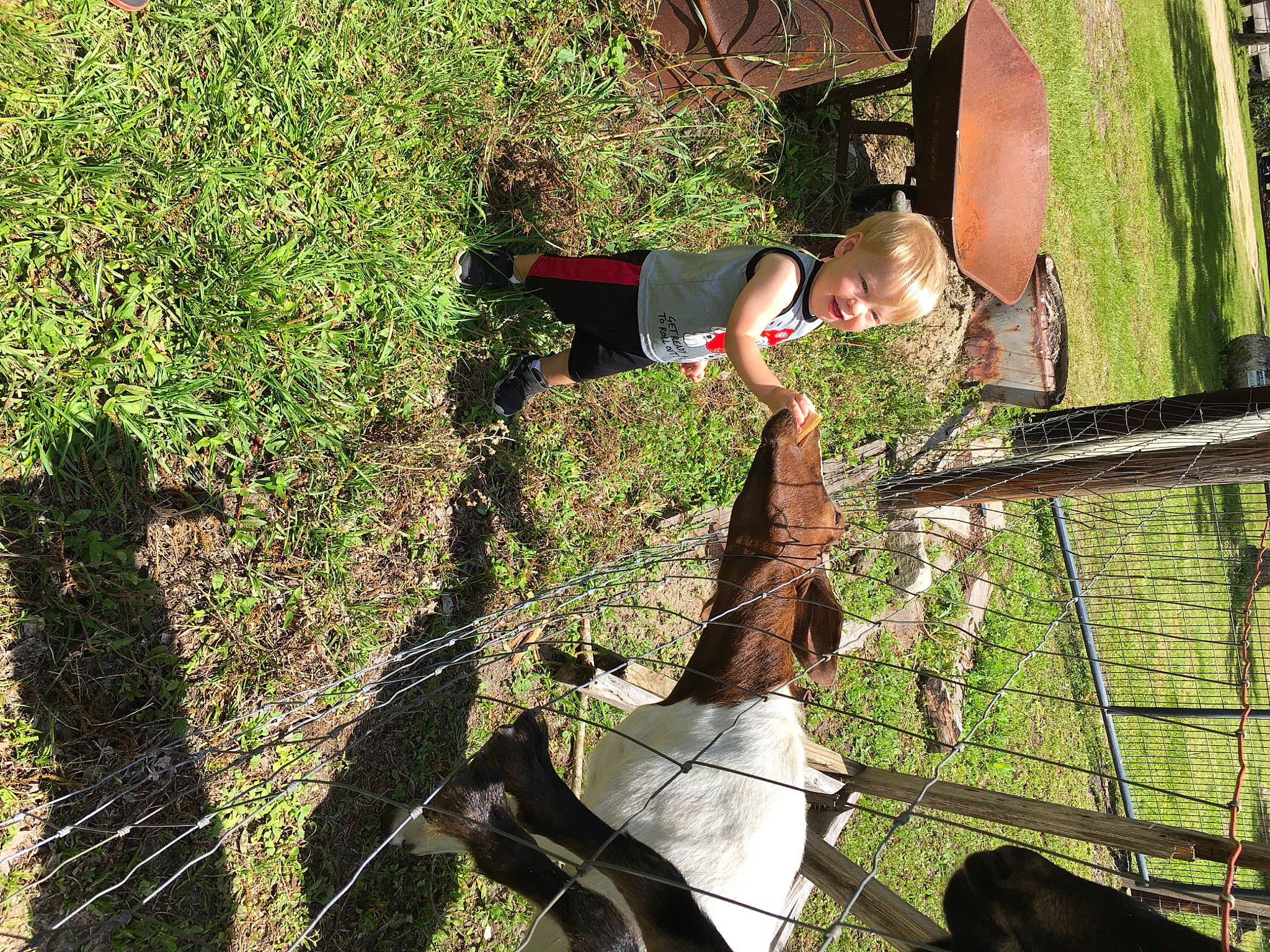 Rhett is registered to the contest to win money with this photo: adaptation, person, plant, tree