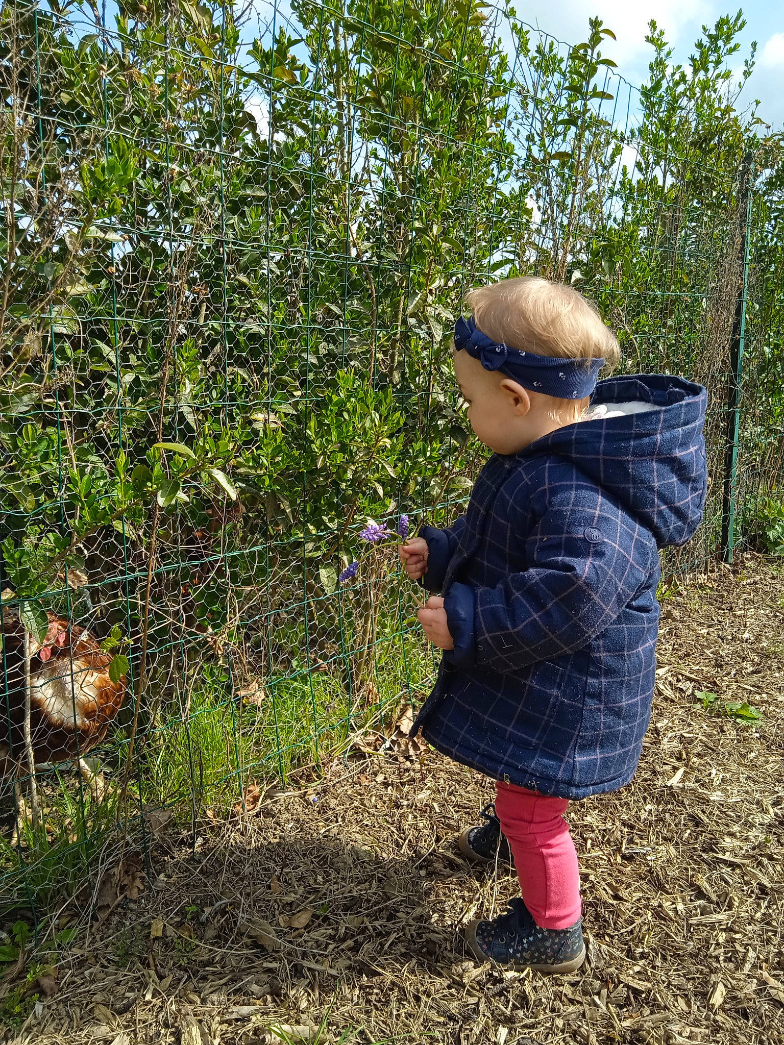 Giulia a rejoint le concours — aidez-le/la à gagner de superbes lots ! agriculture, baby_toddler_clothing, child, field, fruit, garden, gardening, grass, grassland, landscape, pattern, people_in_nature, person, plant, play, shrub, sky, soil, sun_hat, toddler