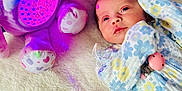 Bonnie-Mae is registered to the contest to win money with this photo: baby, beads, blanket, child, clip, colorful, comfort, cute, elephant_toy, floral_onesie, indoor, infant, lying_down, newborn, pacifier, peaceful, purple_light, soft_toy, stuffed_toy, toy