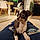 Romy
