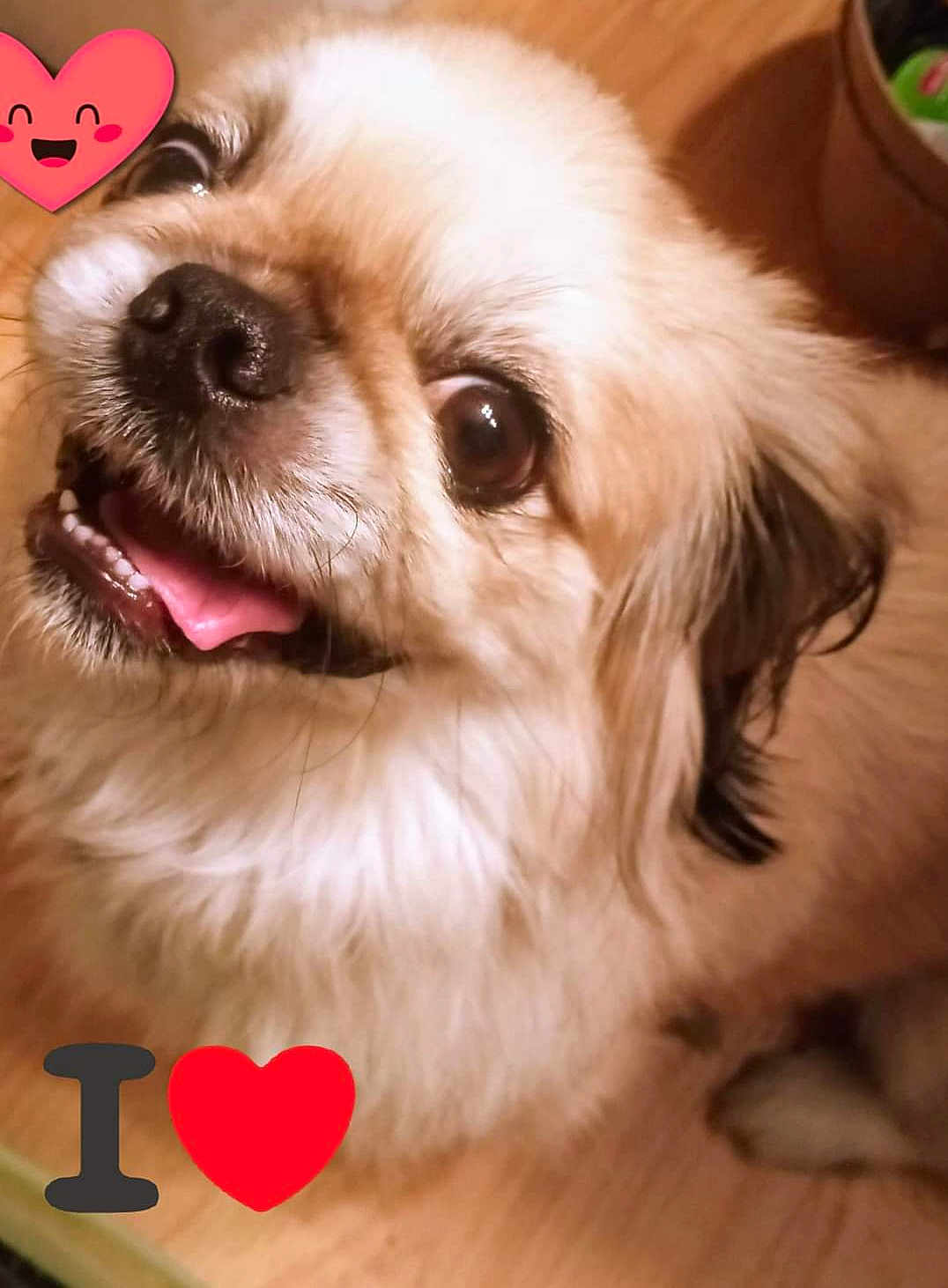 Simba