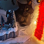 Django a rejoint le concours — aidez-le/la à gagner de superbes lots ! cat, black_cat, christmas_tree, holiday_decorations, ornaments, miniature_village, snow_effect, warm_lighting, festive, cozy, indoor, fur, eyes, holiday, decor, pine_needles, closeup, pet, seasonal, celebration