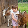 Lenna a rejoint le concours — aidez-le/la à gagner de superbes lots ! animal, baby, child, clothing, cute, farm, fence, footwear, friendship, goat, grass, mickey_mouse, nature, outdoor, pet, petting_zoo, summer, toddler, wooden_wall, young_child
