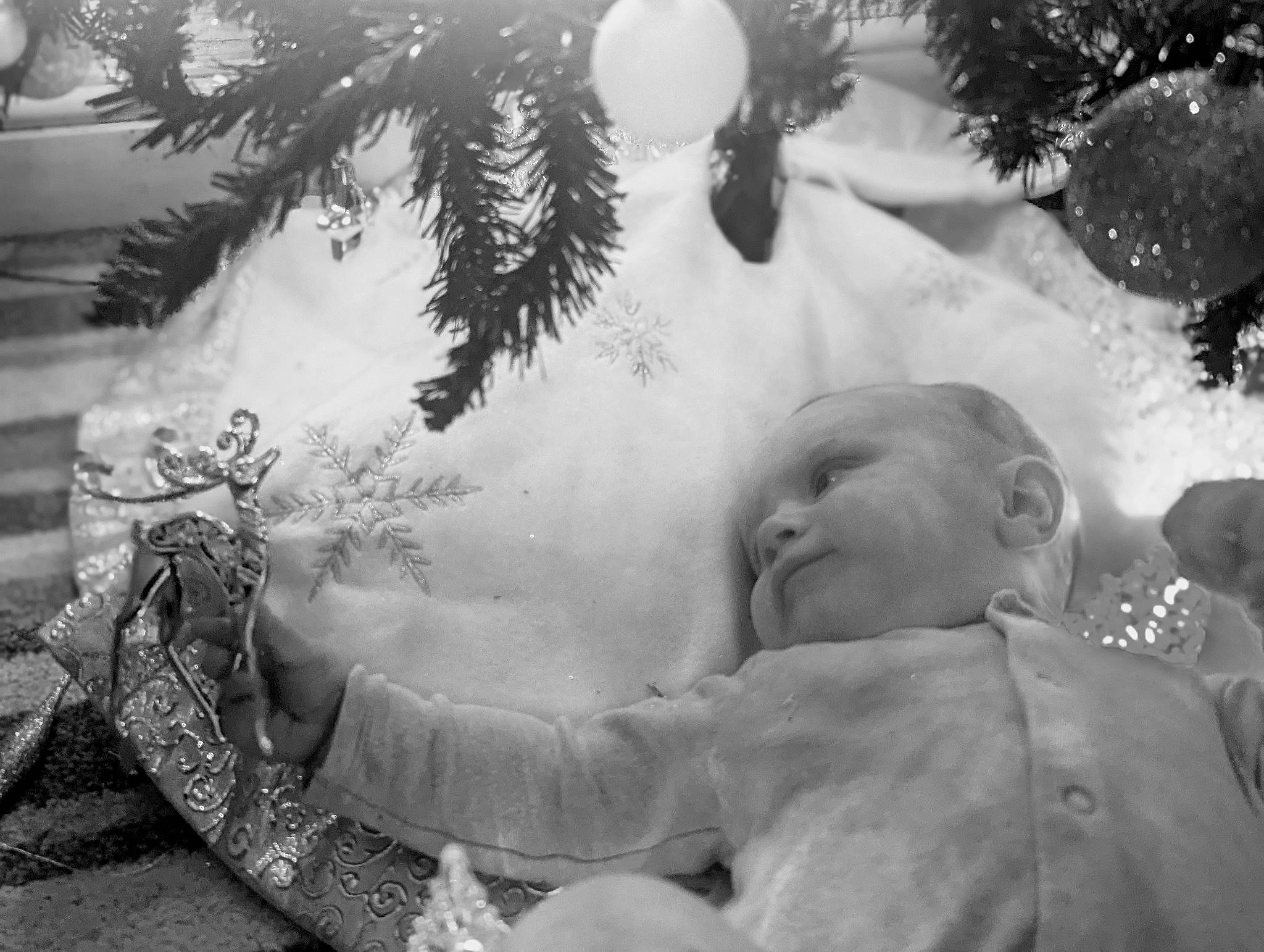 Chelsea joined the competition — help win amazing prizes! baby, black_and_white, branch, christmas_decoration, christmas_eve, christmas_ornament, conifer, event, evergreen, grass, happy, monochrome, monochrome_photography, ornament, people_in_nature, person, snow, style, tree, white