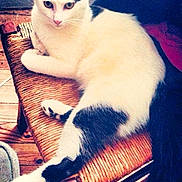 Coco participe au concours pour gagner de l'argent avec cette photo :