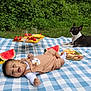 baby, child, dog, picnic, watermelon, strawberries, cheese, crackers, grass, blanket, outdoor, food, summer, happy, smiling, nature, greenery, snack, playful, pet