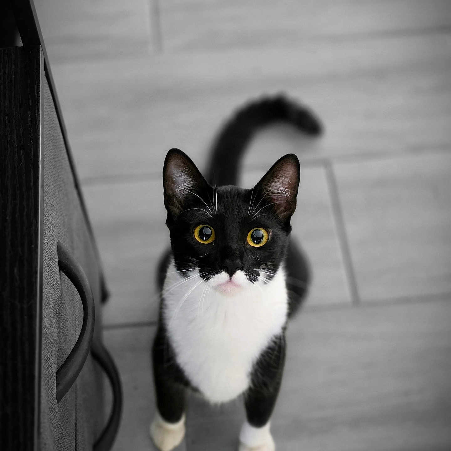 Bruce