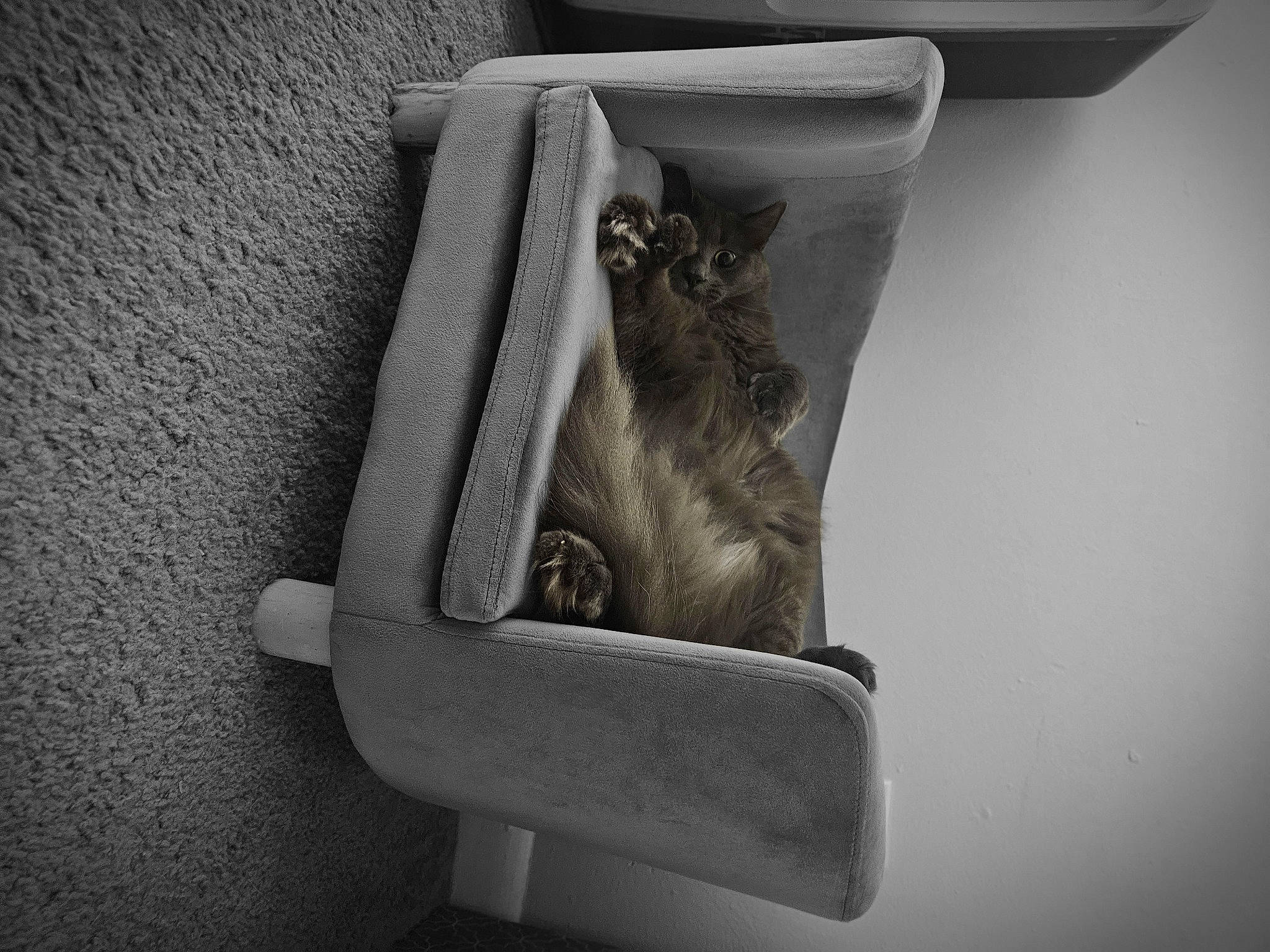 Sir Toemas joined the competition — help win amazing prizes! armrest, art, black_and_white, chair, comfort, darkness, fashion_accessory, font, grey, human_leg, metal, monochrome, monochrome_photography, room, sculpture, serveware, still_life_photography, tints_and_shades, wood, working_animal