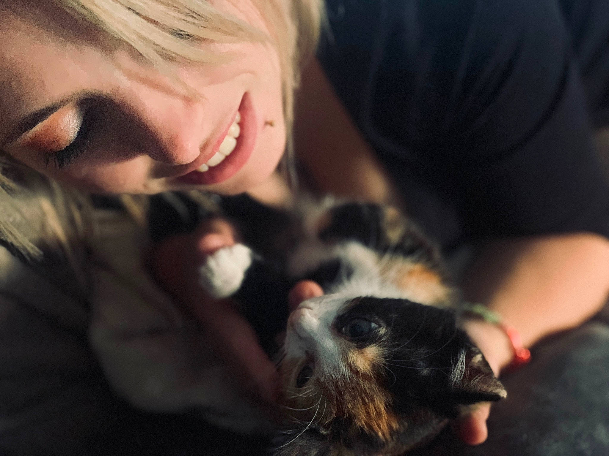 Saya a rejoint le concours — aidez-le/la à gagner de superbes lots ! brown_hair, carnivore, cat, comfort, companion_dog, dog_breed, ear, eyelash, fawn, felidae, fur, gesture, happy, lap, long_hair, mammal, nose, skin, small_to_medium_sized_cats, whiskers