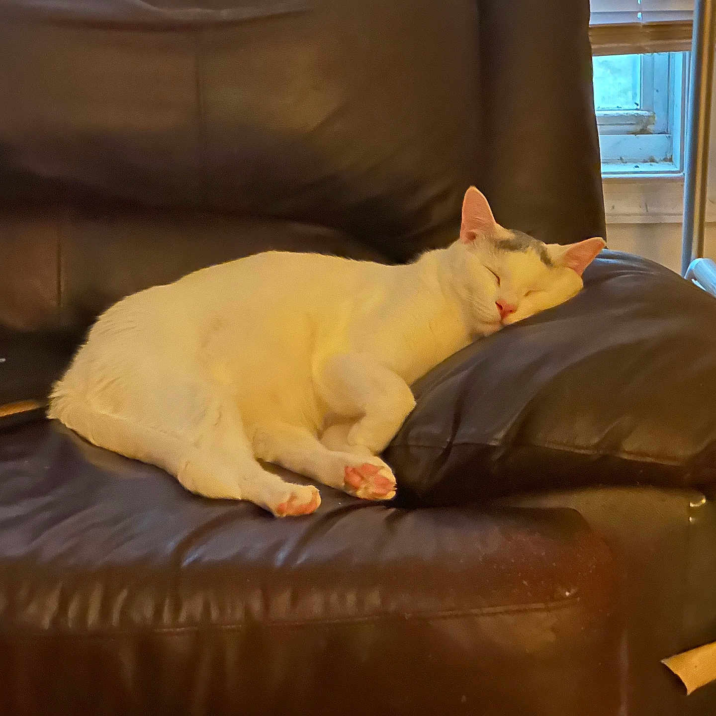 Casper