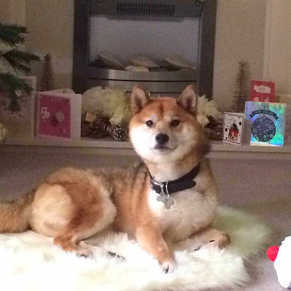 Kai is registered to the contest to win money with this photo: