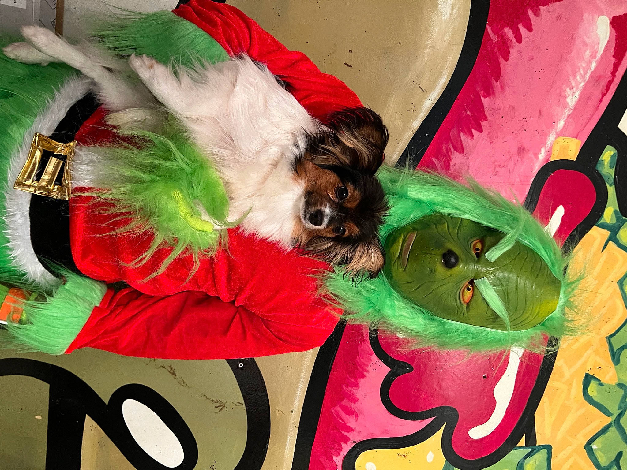 Ravin joined the competition — help win amazing prizes! art, companion_dog, dog, dog_breed, dog_supply, event, eyelash, feather, font, fur, graphic_design, graphics, happy, magenta, paint, painting, petal, tail, toy_dog, visual_arts