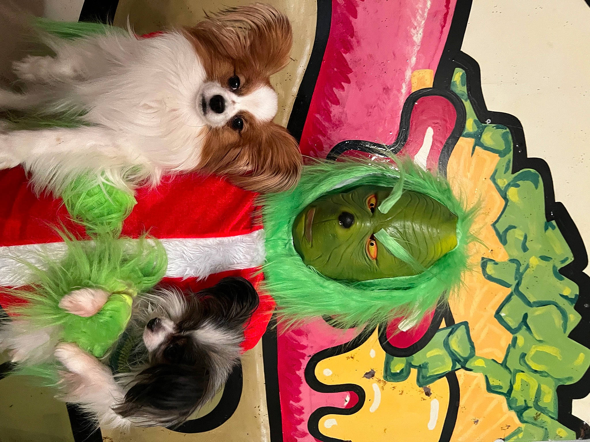 Romeo A.k.a. Big Red is registered to the contest to win money with this photo: art, companion_dog, dog, dog_breed, dog_supply, event, fashion_accessory, fawn, fictional_character, font, fur, happy, liver, paint, painting, small_terrier, toy, toy_dog, visual_arts, working_animal