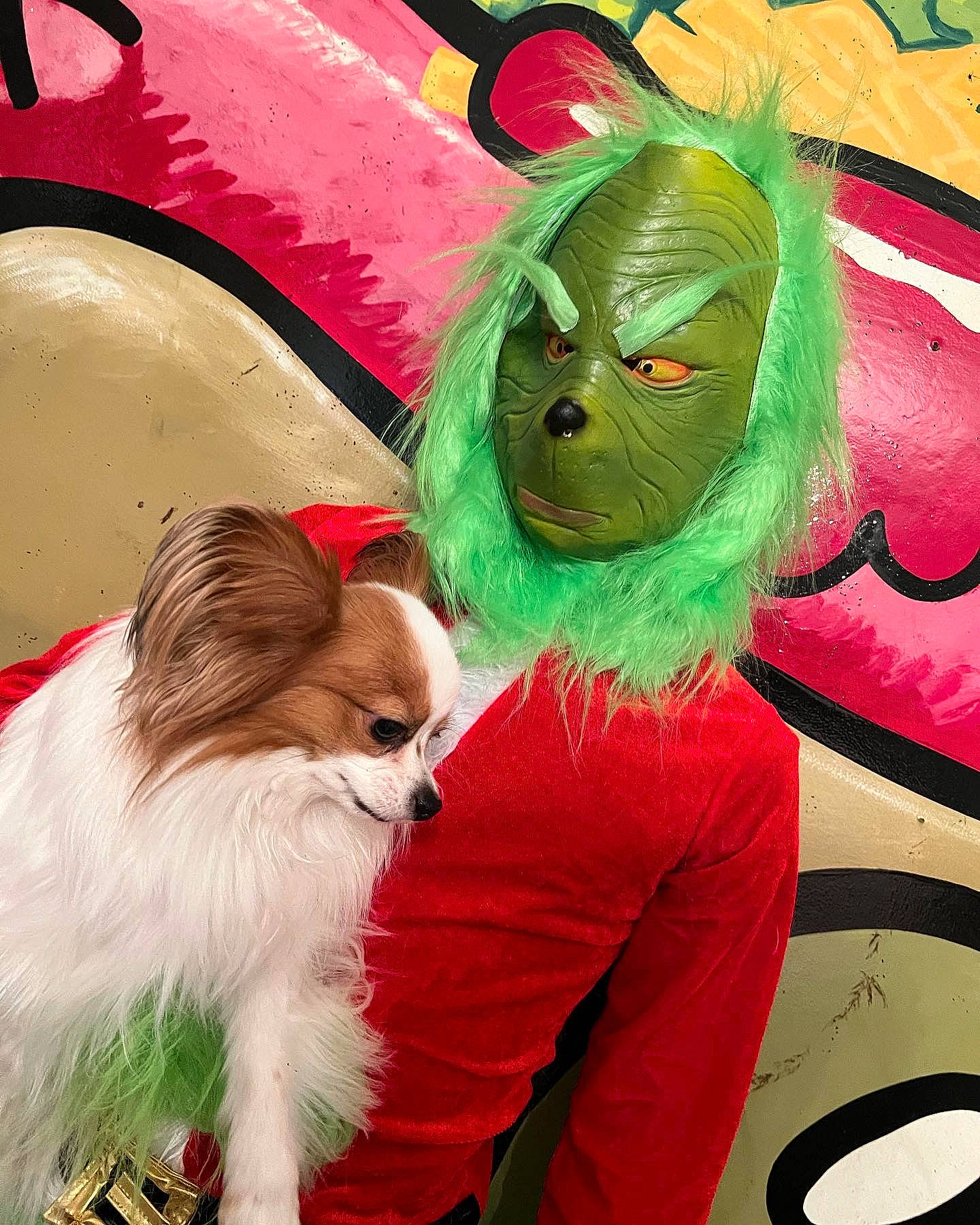 Romeo A.k.a. Big Red is registered to the contest to win money with this photo: art, carnivore, companion_dog, costume, dog, dog_breed, dog_clothes, dog_supply, fawn, fictional_character, fur, grass, green, happy, liver, papillon, plush, snout, tail, toy_dog