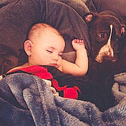 Ariana is registered to the contest to win money with this photo: baby, sleeping, dog, blanket, couch, cozy, earring, fur, comfort, snuggle, pet, child, nap, indoor, relaxation, cute, friendship, rest, warmth, animal